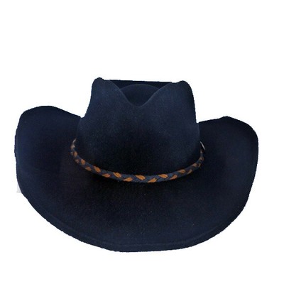 stetson buffalo nickel hat